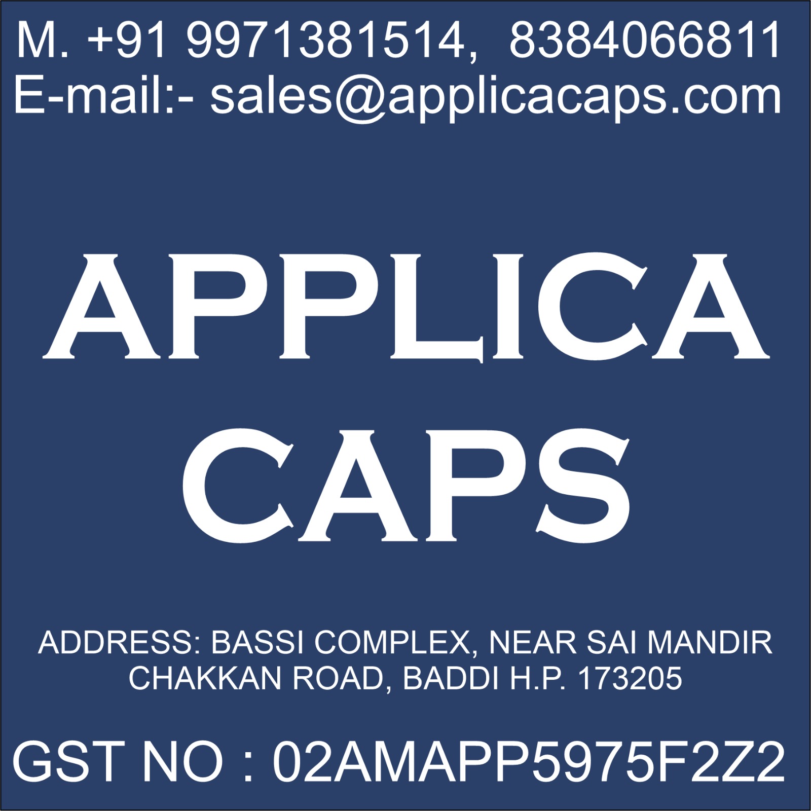 COMPANY OVERVIEW – Applica Caps